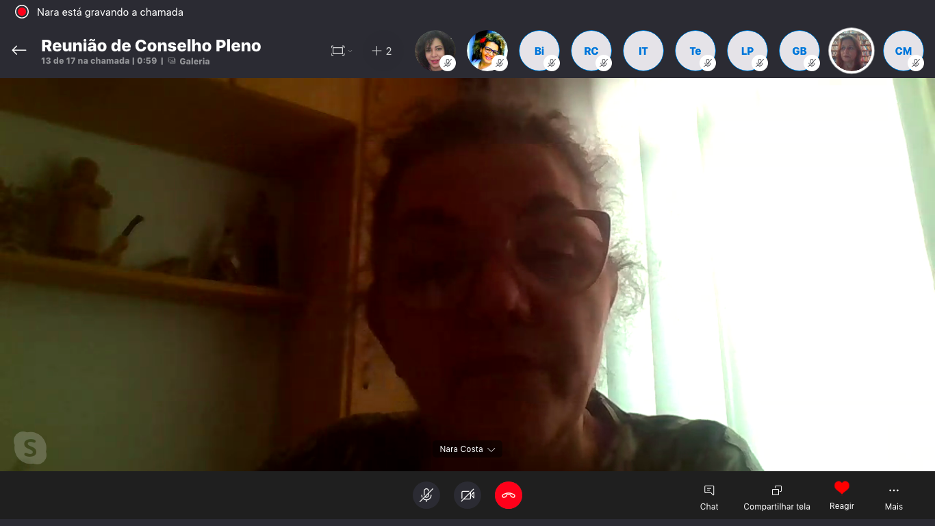 reuniao conselho pleno