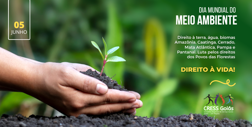 site diamundialmeioambiente